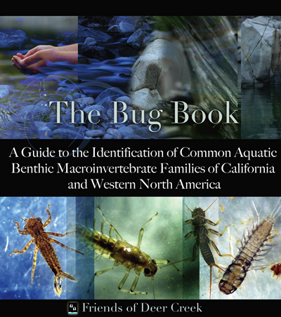 the bug book cover