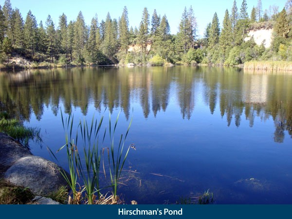 hirschmans pond