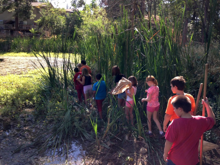 kids on a field trip