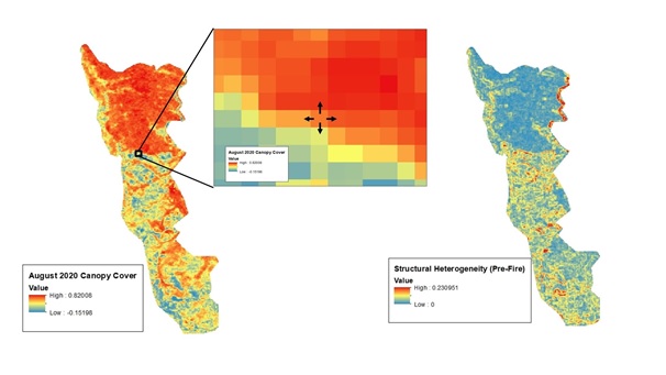 Figure 4. Analysis of Structural Heterogeneity (“clumpiness”). Heterogeneity was calculated as the difference (for each pixel) between a target pixel’s NDVI and surrounding pixel NDVI, resulting in a “structural heterogeneity” map.