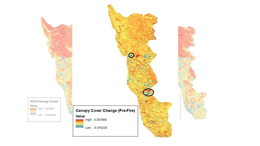 Figure 3. Change in canopy cover, gleaned from normalized difference vegetation index (NDVI) from Copernicus/Sentinel-2 imagery. Circles represent areas of significant change (blue = decrease, red = increase) in vegetation cover in the year before the Jones Fire. This kind of analysis can be used to identify treatments and their impacts on vegetative cover.
