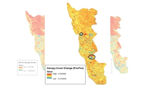 Figure 3. Change in canopy cover, gleaned from normalized difference vegetation index (NDVI) from Copernicus/Sentinel-2 imagery. Circles represent areas of significant change (blue = decrease, red = increase) in vegetation cover in the year before the Jones Fire. This kind of analysis can be used to identify treatments and their impacts on vegetative cover. 