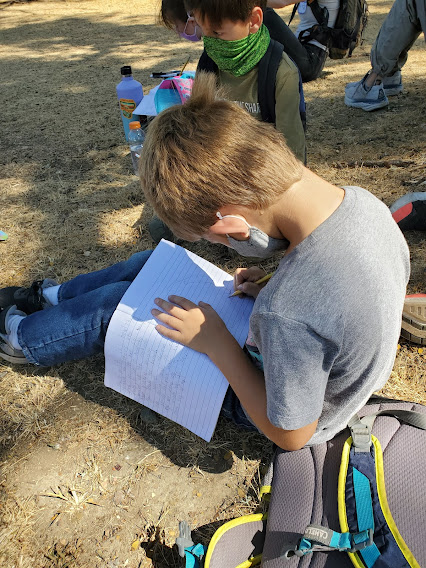 Students are recording observations in their science journals about their learning. 