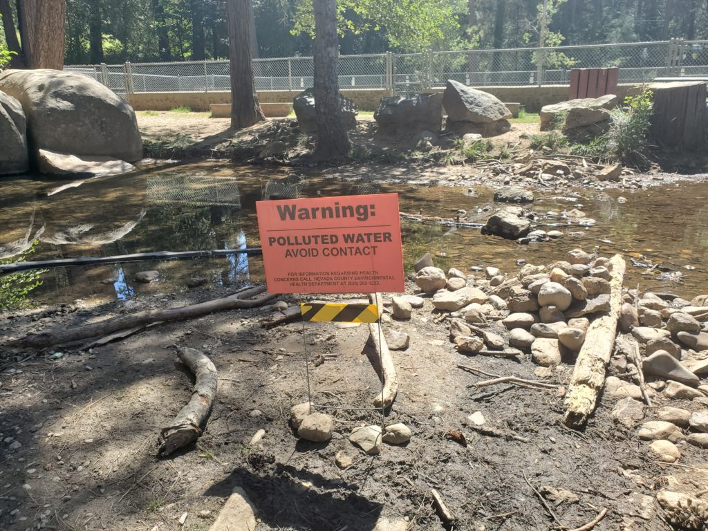 A photo of the sign alerting visitors to Pioneer Park that it is no longer safe to swim. 