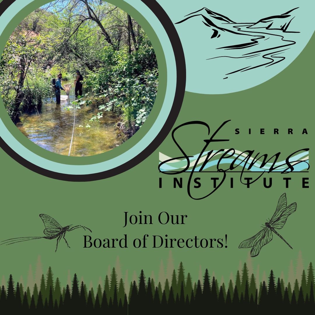 Join the Sierra Streams Institute Board!