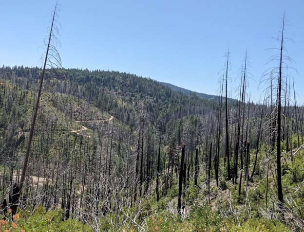  Lowell Hill Fire scar, part of project area