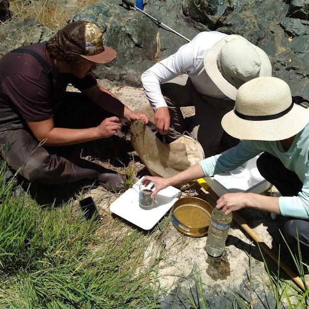 a field crew does the filed processing of a benthic macroinvertebrate sample