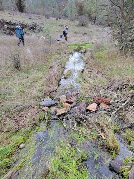 an image of a beaver dam analog in wolf creek 